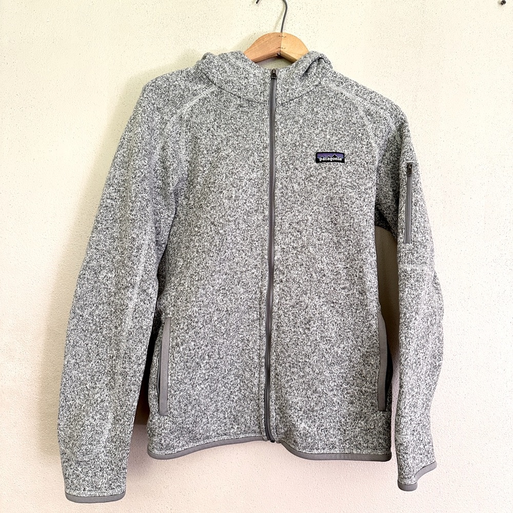 Patagonia Better Sweater Fleece Hoody